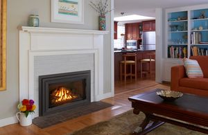 Jotul: GI 545 DV Winter Harbor