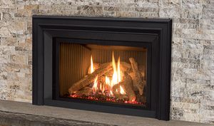 Enviro: EX32 Insert